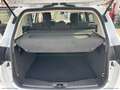 Ford C-Max 1.5 TDCi 95 CV S&S Plus - thumbnail 14