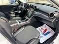 Mercedes-Benz C 200 d Avantgarde Aut.+Apple CarPlay+Navi+LED+AHK+R-... Weiß - thumbnail 33