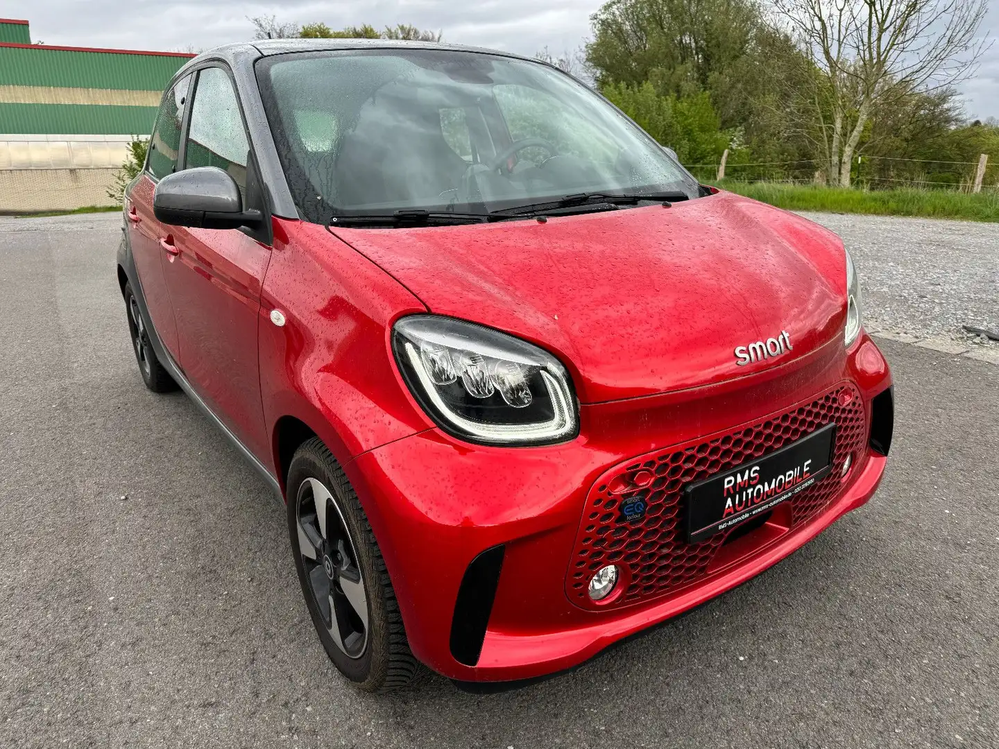 smart forFour electric drive / EQ Passion Rouge - 2