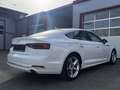 Audi A5 SB 40 TFSI sport S-tronic *XENON, NAVI, HEAD-UP* Weiß - thumbnail 4