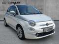 Fiat 500C MY21 1.0 GSE Hybrid DOLCEVITA 51kW Grau - thumbnail 3