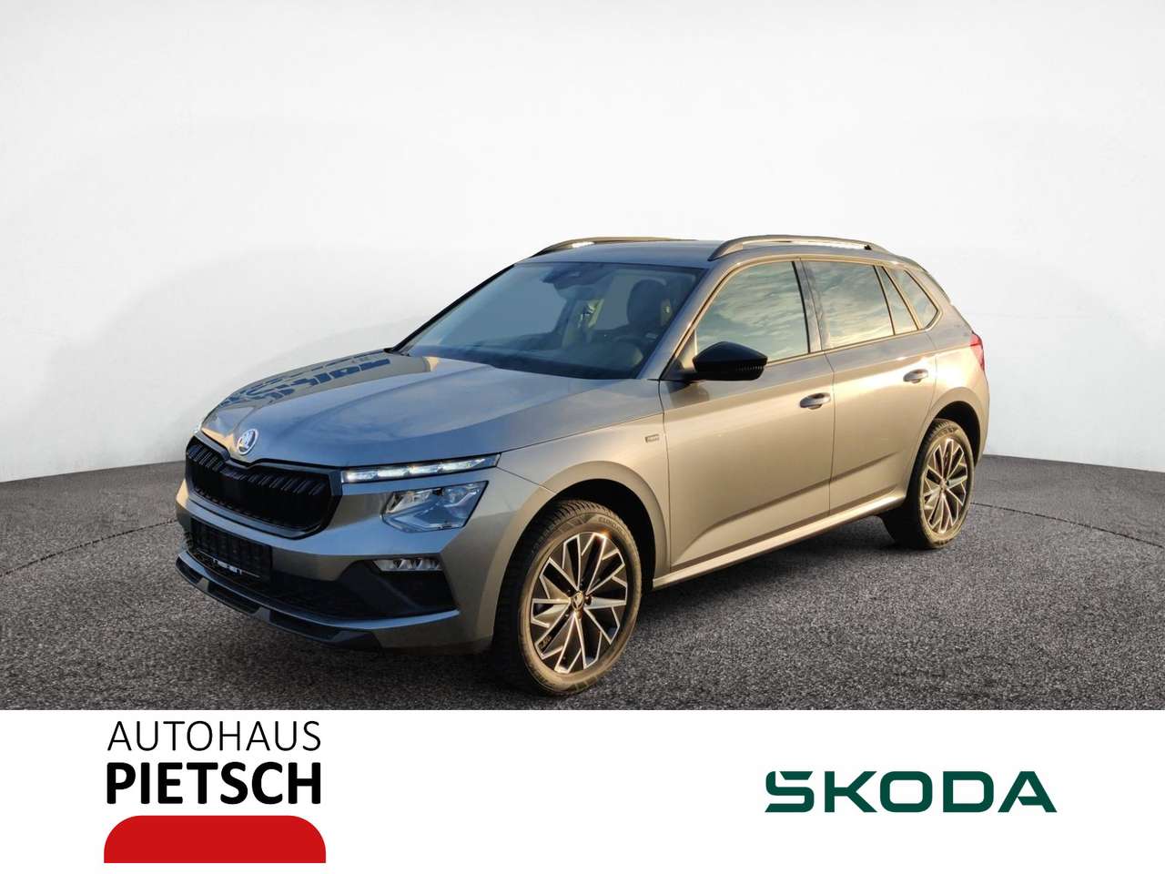 Skoda Kamiq — Skoda Kamiq 1.0 TSI DSG Tour Matrix AHK ACC Kamera Nav