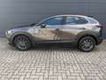 Mazda CX-30 2.0l (150PS) Navi Head-up LED MRCC 1.Hand Gris - thumbnail 4