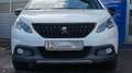 Peugeot 2008 Allure GT-Line Navi Pano Klima PDC Euro6 Blanc - thumbnail 5