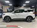 DR Automobiles DR6.0 DR 6.0  1.5 turbo Bz/Gpl 149cv Bianco - thumbnail 5