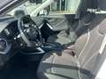 Audi Q2 Q2 30 1.6 tdi Admired s-tronic Bianco - thumbnail 10