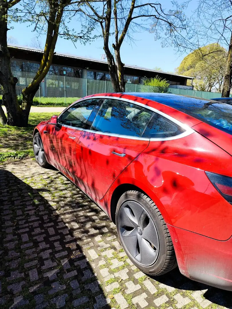 Tesla Model 3 Model+3+Standard+rwd+Plus Rosso - 1
