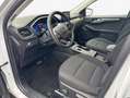 Ford Kuga 2.5 Duratec PHEV TITANIUM Blanc - thumbnail 7