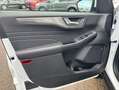Ford Kuga 2.5 Duratec PHEV TITANIUM Blanc - thumbnail 13