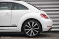 Volkswagen Beetle 1.2 TSI Club edition BlueMotion | Pano | Fender au Weiß - thumbnail 15