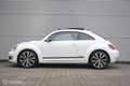 Volkswagen Beetle 1.2 TSI Club edition BlueMotion | Pano | Fender au Weiß - thumbnail 5