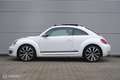 Volkswagen Beetle 1.2 TSI Club edition BlueMotion | Pano | Fender au Weiß - thumbnail 48