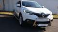 Renault Kadjar Business Edition Diesel 110 PS Tuning Blanco - thumbnail 5