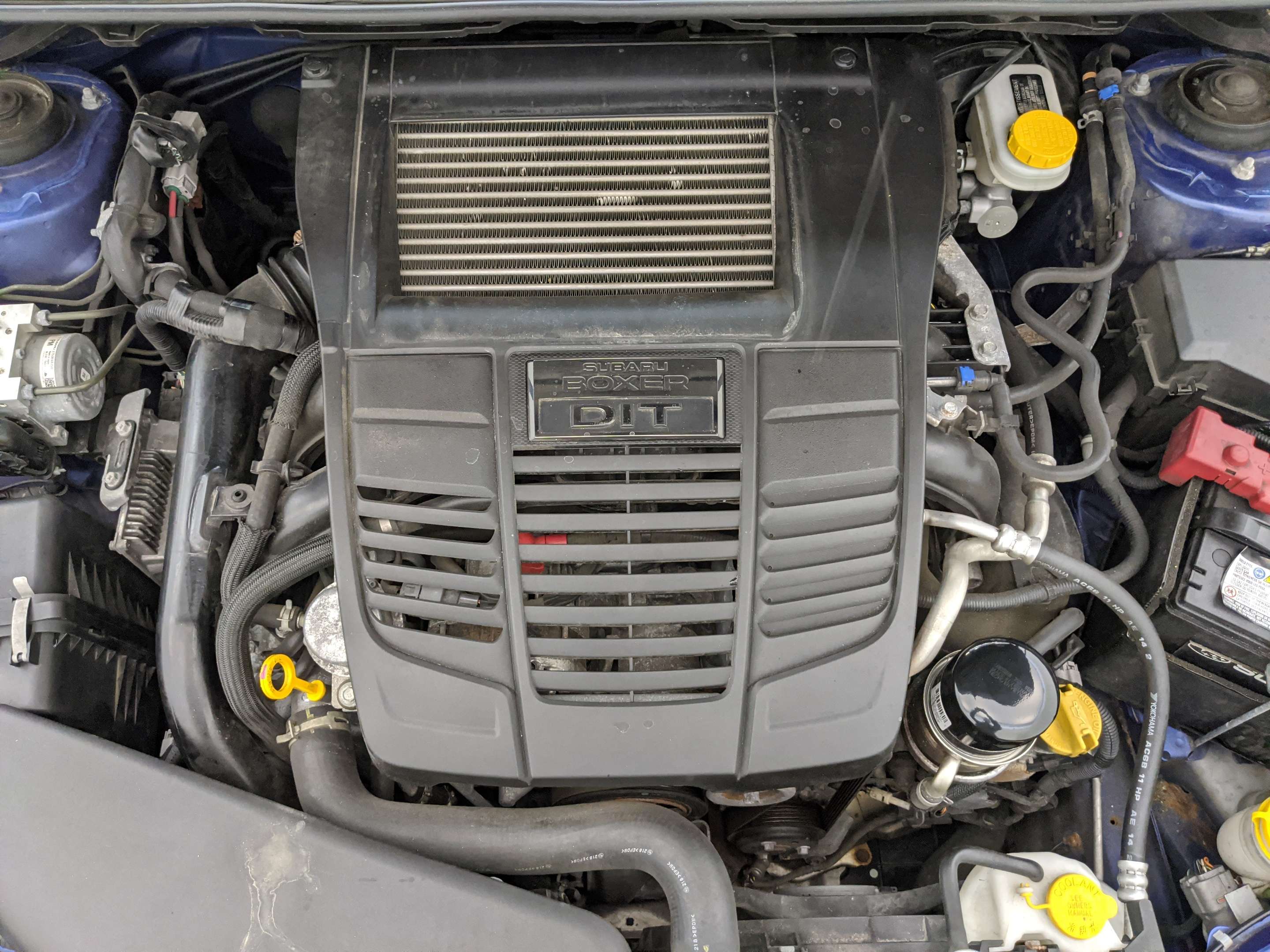 2021 Subaru Wrx
