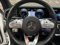Mercedes-Benz GLE 350 de 4MATIC Premium Plus Panorama Sfeer Memory Burme Wit - thumbnail 12