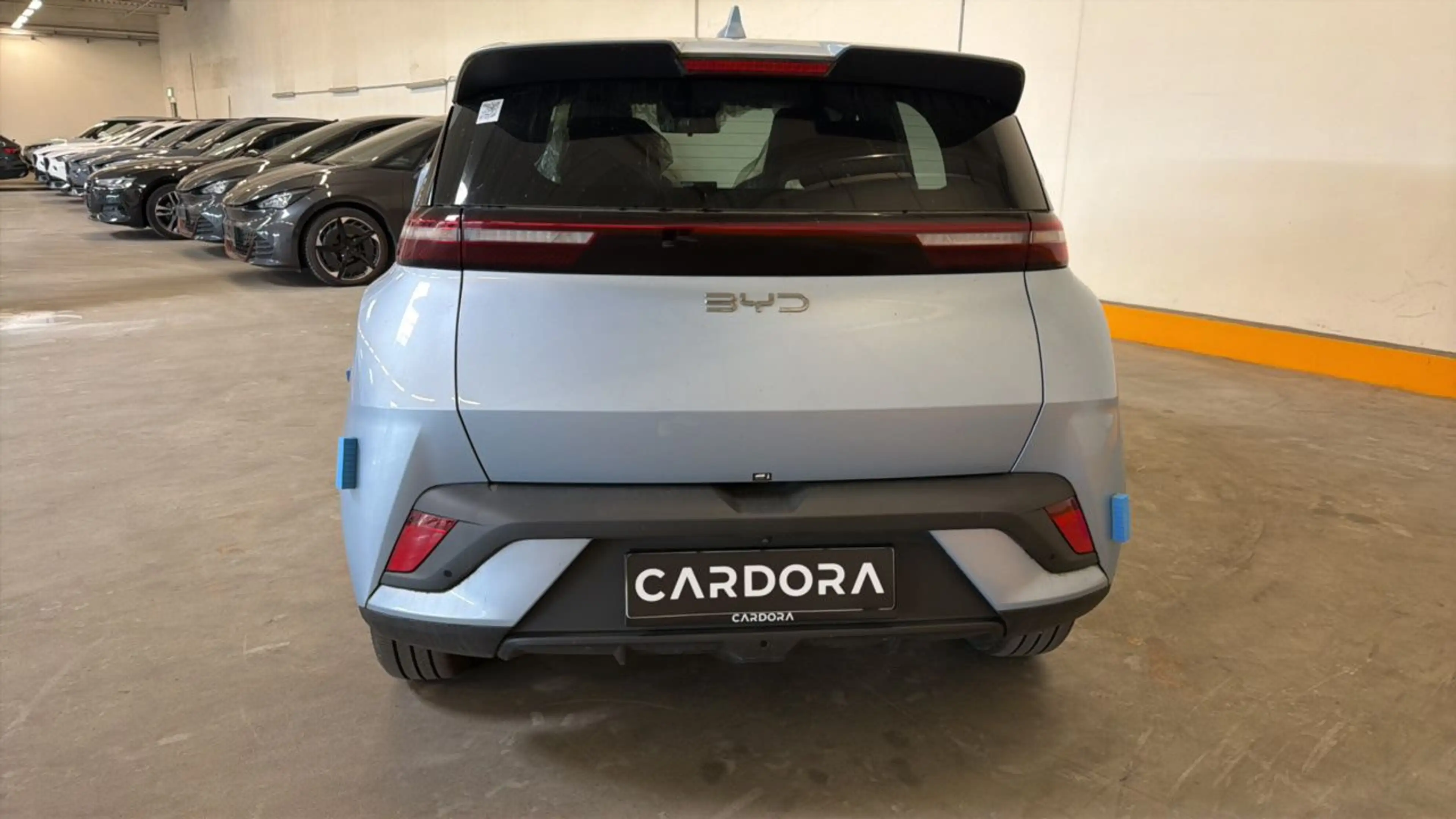 BYD Dolphin Surf Active 43.2kWh LED*Leder*RFK*NAVI*ASSIST*PDC — photo 6
