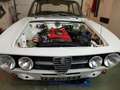 Alfa Romeo 1750 gt Véloce Weiß - thumbnail 25
