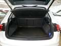 Volkswagen Tiguan 2.0 TSI Comfortline R-Line MEMO 360 AHK Weiß - thumbnail 15