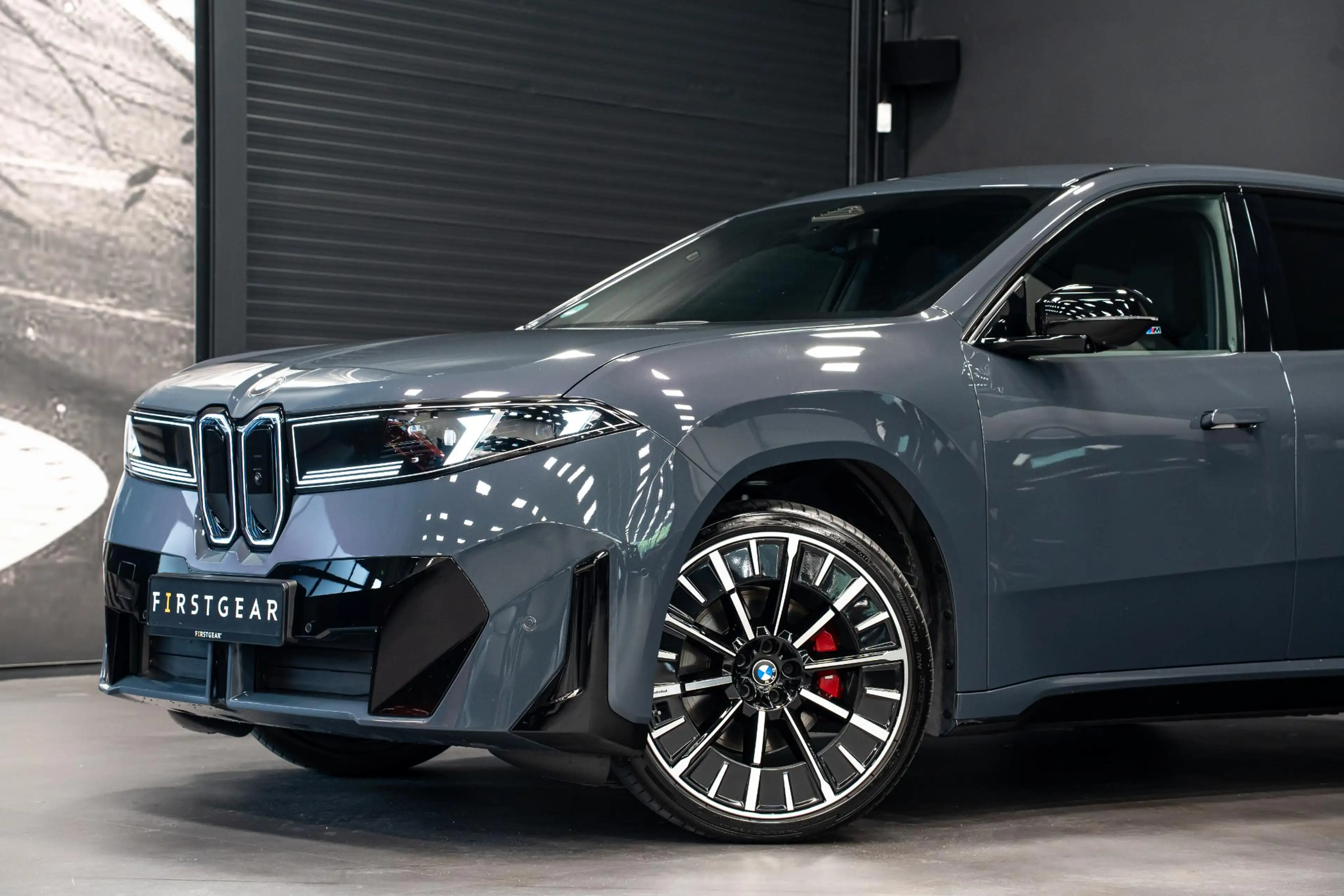 BMW iX3 50 xDrive 113 kWh *Harman-Kardon / HUD / Memory / — photo 4