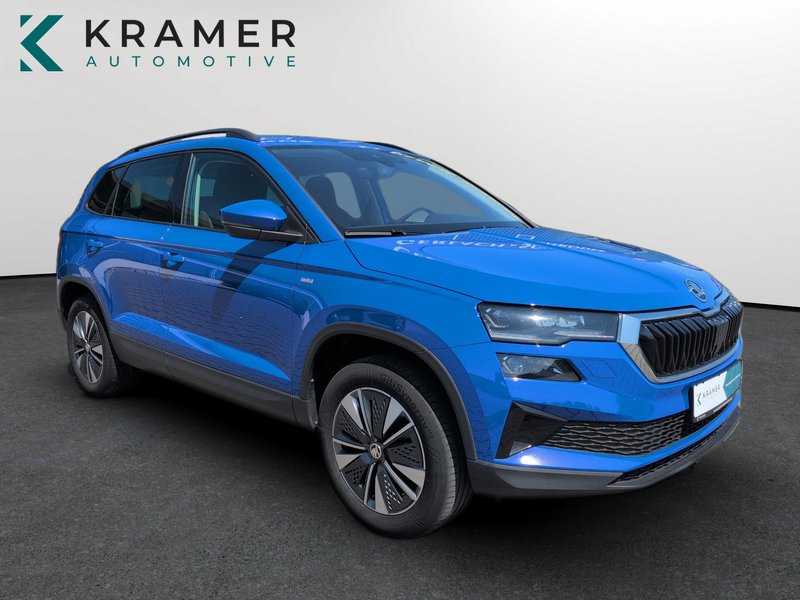 Skoda Karoq 2.0TDI DSG 4x4 Tour ACC+MATRIX+VIRTUAL+AHK — photo 8
