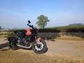 Triumph Trident 660 Orange - thumbnail 14