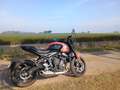 Triumph Trident 660 Orange - thumbnail 15