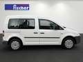 Volkswagen Caddy 1.6 Life Garantie 1.Hand Klima Sitzhzg  AHK Weiß - thumbnail 3