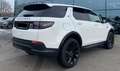Land Rover Discovery Sport 2.0 TD4 204 CV AWD Auto SE Blanc - thumbnail 12