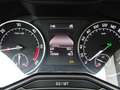 Skoda Superb Style Serviceheft Zahnriemen neu Anhängerkupplu Beige - thumbnail 34