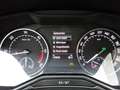 Skoda Superb Style Serviceheft Zahnriemen neu Anhängerkupplu Beige - thumbnail 33