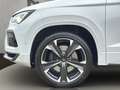SEAT Ateca 2.0 TSI Basis 7-Gang DSG 4Drive Weiß - thumbnail 20