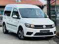 Volkswagen Caddy PKW BMT  DAB CarPlay NAVI Blanc - thumbnail 1
