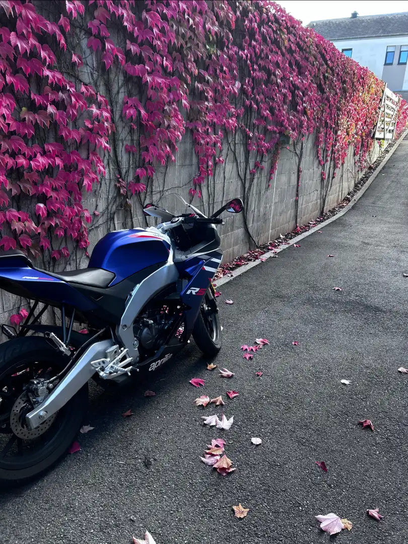 Aprilia RS 125 - 2