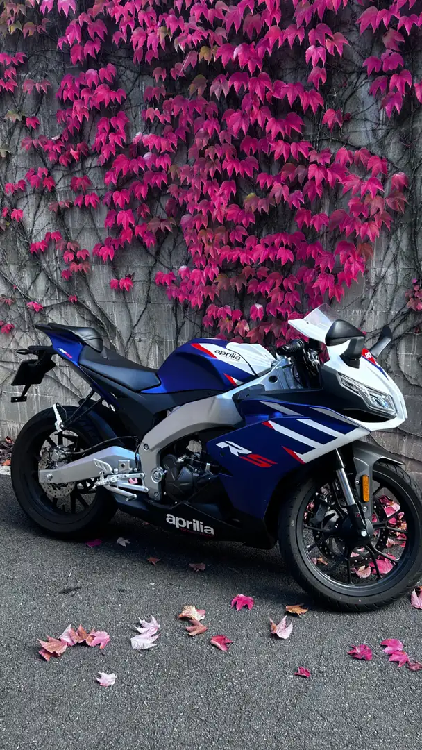Aprilia RS 125 - 1