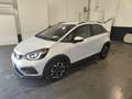 Honda Jazz Jazz 1.5 Hev Crosstar eCVT Executive Bianco - thumbnail 1