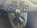 Fiat Panda Panda 1.0 firefly hybrid City Life s - thumbnail 12