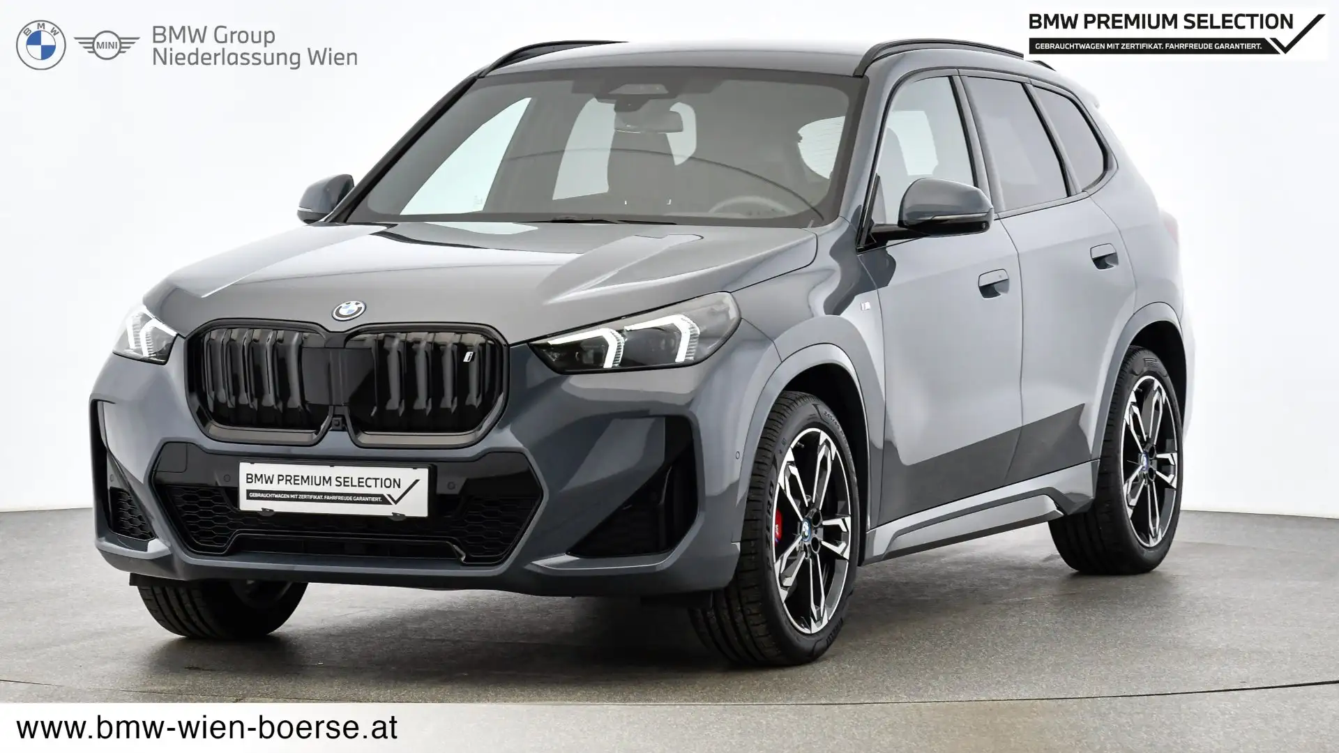 BMW iX1 iX1 xDrive30 Gris - 1