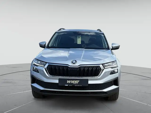 Skoda Karoq view 2