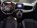 Fiat Panda Panda 1.0 HYBRID 70CV "CITY-CROSS", A PARTIRE DA.. Grigio - thumbnail 7