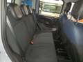 Fiat Panda Panda 1.0 HYBRID 70CV "CITY-CROSS", A PARTIRE DA.. Grigio - thumbnail 15
