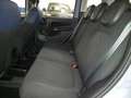 Fiat Panda Panda 1.0 HYBRID 70CV "CITY-CROSS", A PARTIRE DA.. Grigio - thumbnail 6