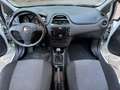 Fiat Punto 5p 1.2 Street EURO 6 Blanc - thumbnail 12