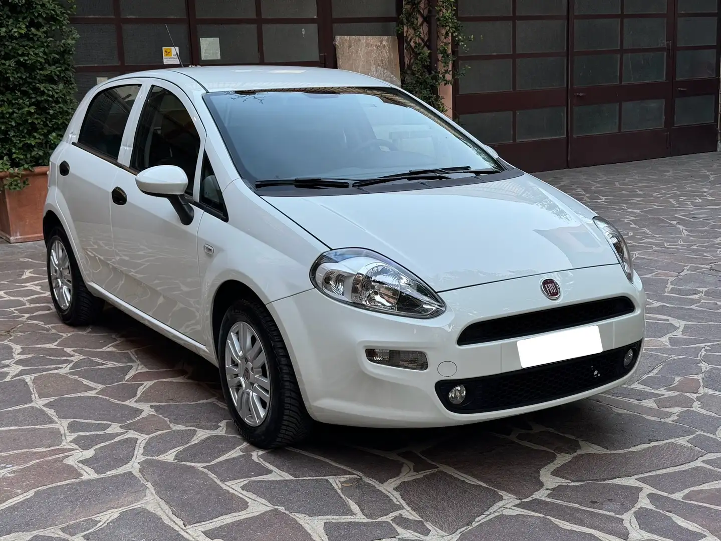 Fiat Punto 5p 1.2 Street EURO 6 Blanc - 1