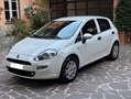 Fiat Punto 5p 1.2 Street EURO 6 Blanc - thumbnail 4