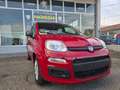 Fiat Panda HYBRID 70 CV 5 POSTI, SENSORI PARK Rosso - thumbnail 1