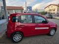 Fiat Panda HYBRID 70 CV 5 POSTI, SENSORI PARK Rosso - thumbnail 5