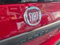 Fiat Panda HYBRID 70 CV 5 POSTI, SENSORI PARK Rosso - thumbnail 8