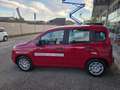 Fiat Panda HYBRID 70 CV 5 POSTI, SENSORI PARK Rosso - thumbnail 3