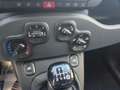 Fiat Panda HYBRID 70 CV 5 POSTI, SENSORI PARK Rosso - thumbnail 15