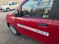 Fiat Panda HYBRID 70 CV 5 POSTI, SENSORI PARK Rosso - thumbnail 7